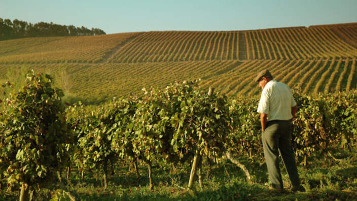 o néctar dos deuses